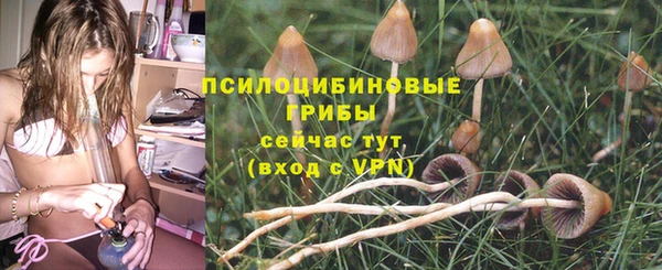 дживик Балабаново