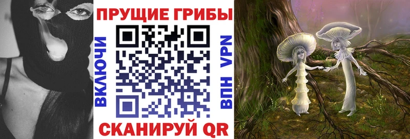 KRAKEN маркетплейс  Усть-Джегута  Псилоцибиновые грибы мицелий 