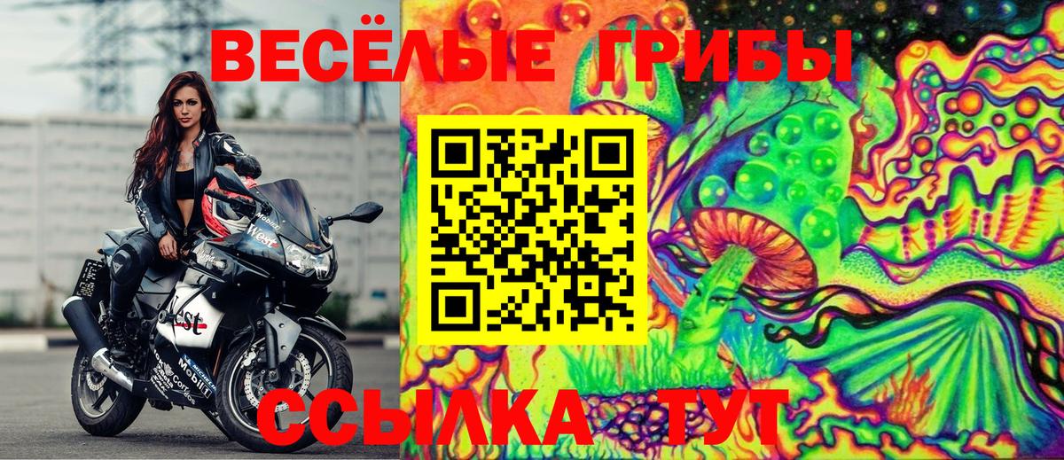 где продают   Галлюциногенные грибы GOLDEN TEACHER  Вход с VPN  Усть-Джегута 